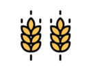 ways to donate_0007_grain